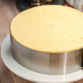 Sponge cake layers for a fraisier cake