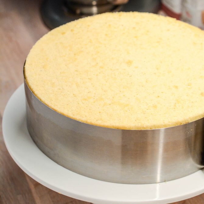 Sponge cake layers for a fraisier cake