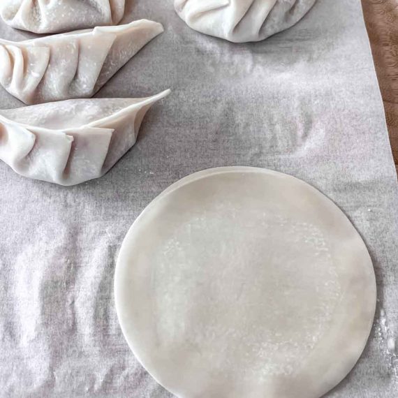Hands folding gyoza dumpling wrapper into pleats