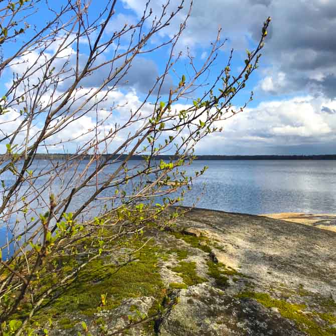 Beautiful lake in Sweden